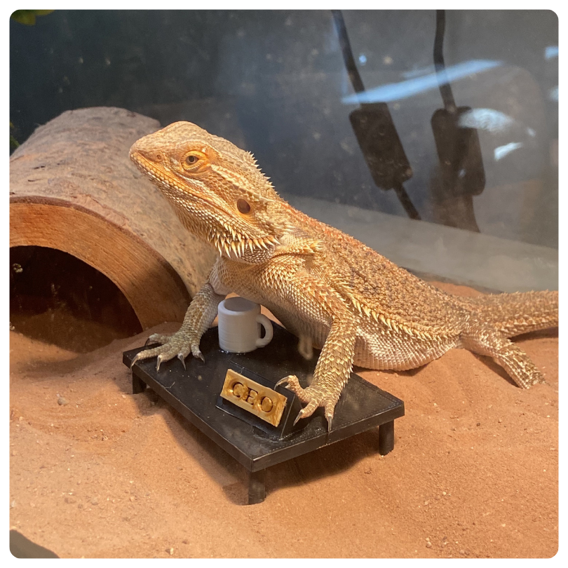 Albert Fur Baby Website Page (1)